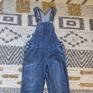 Dickies Overalls